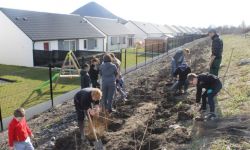 Plantations Cavalier   037